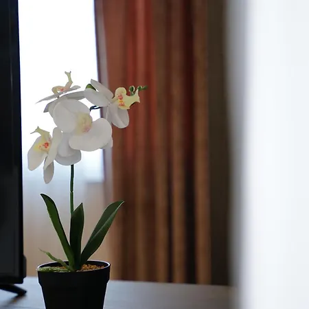 Doanesia Premium & 酒店