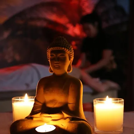 Doanesia Premium & Mezez