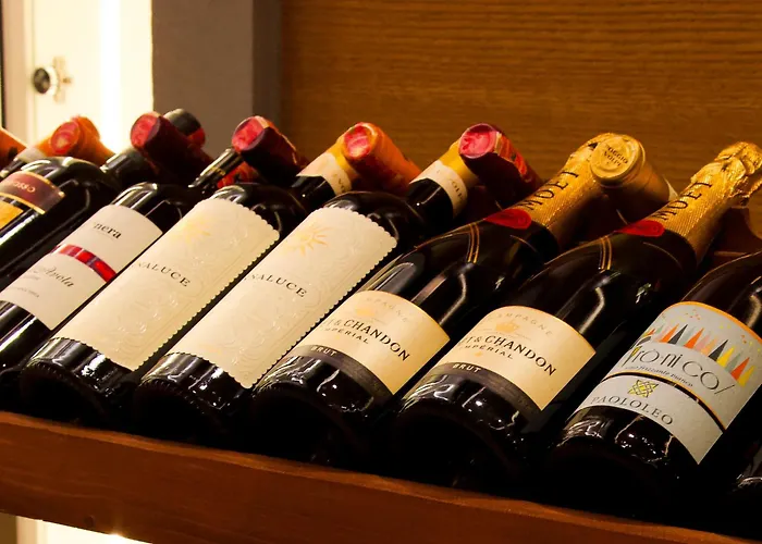 Hotel Doanesia Premium & Mezez